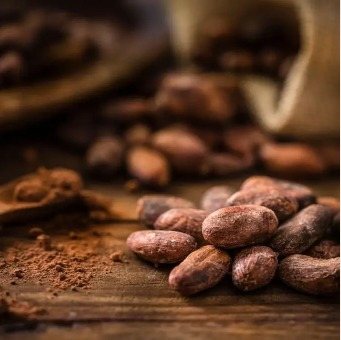 Cocoa beans